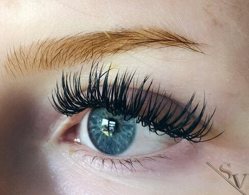 Bed Bug Exterminator