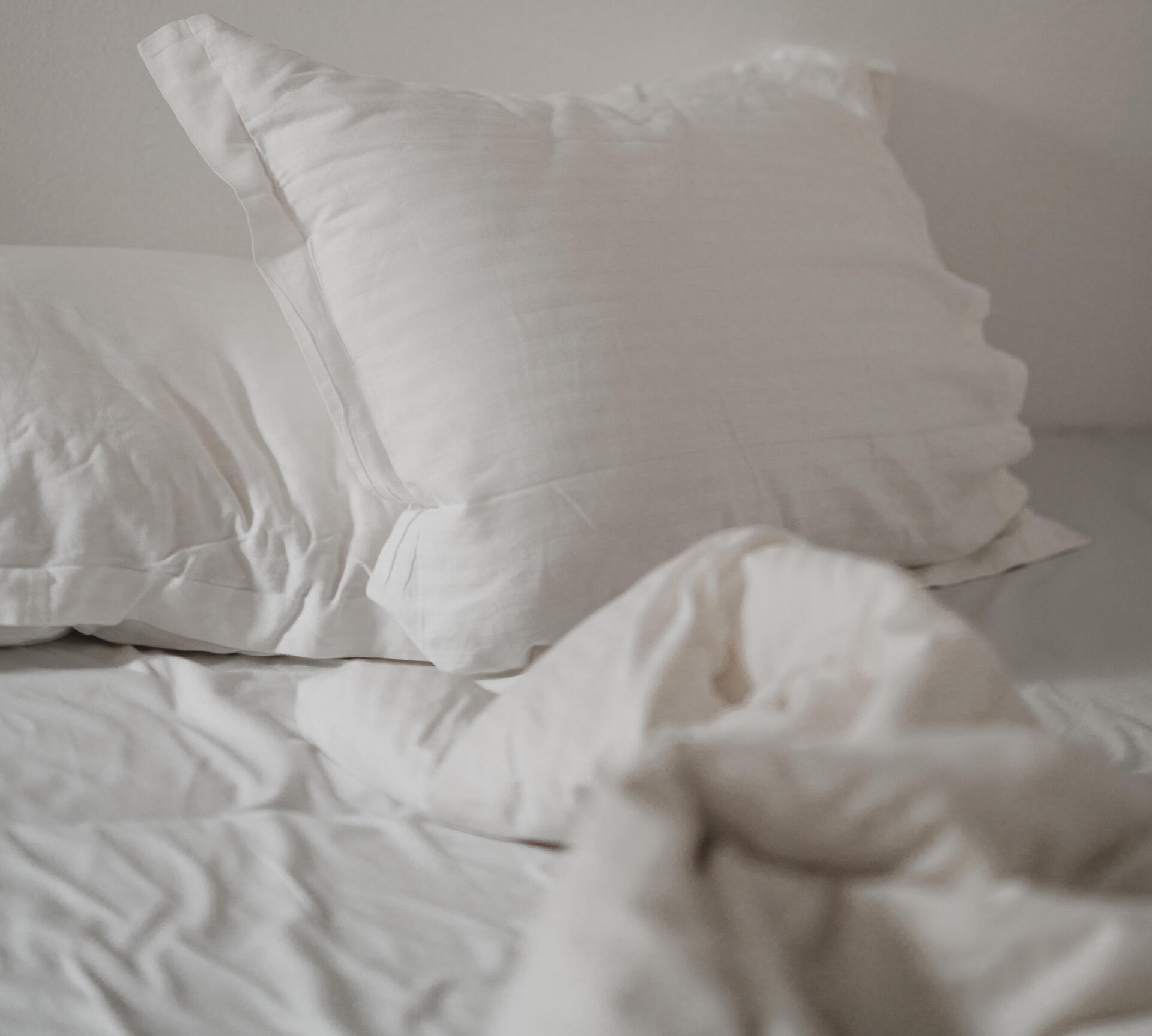 Edmonton Bed Bug Exterminators